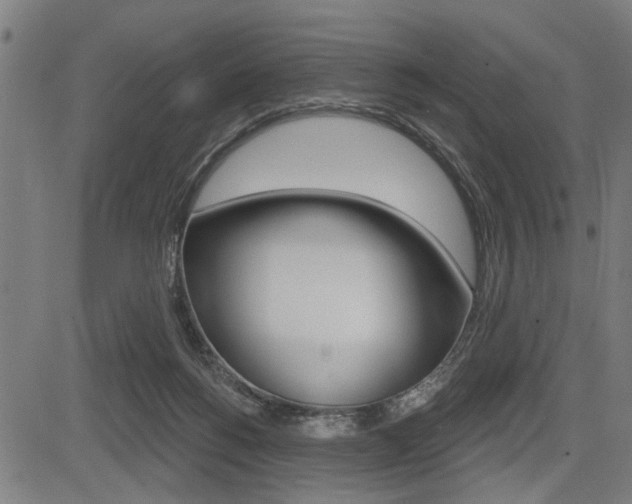 X0000083550168200702090759