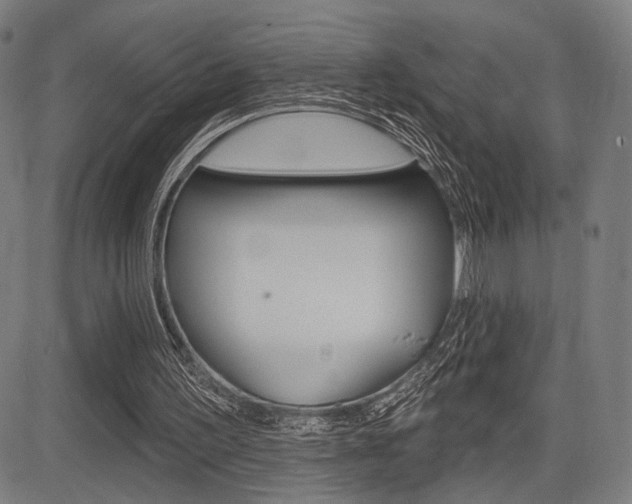 X0000083550195200702090758