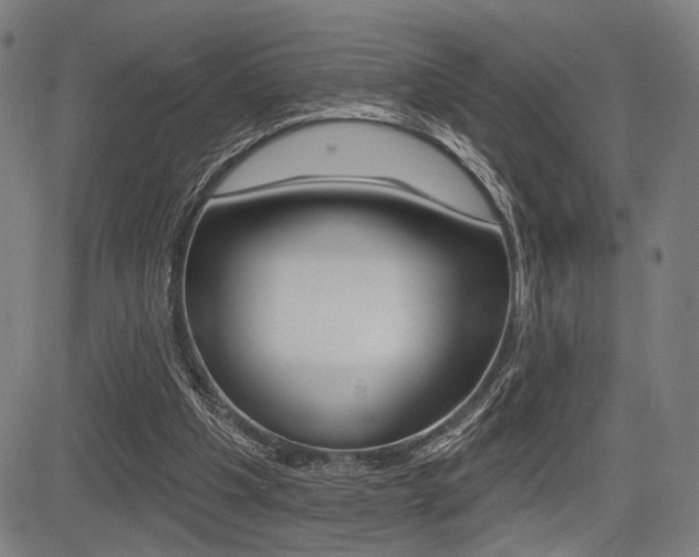 X0000083550201200702090758