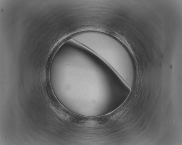 X0000083550204200702090758