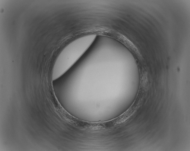 X0000083550209200702090758