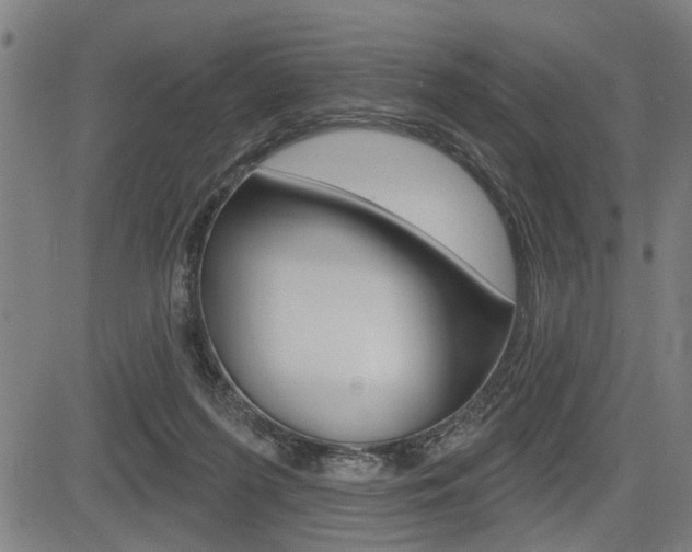 X0000083550215200702090758
