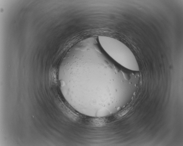 X0000083550238200702090757