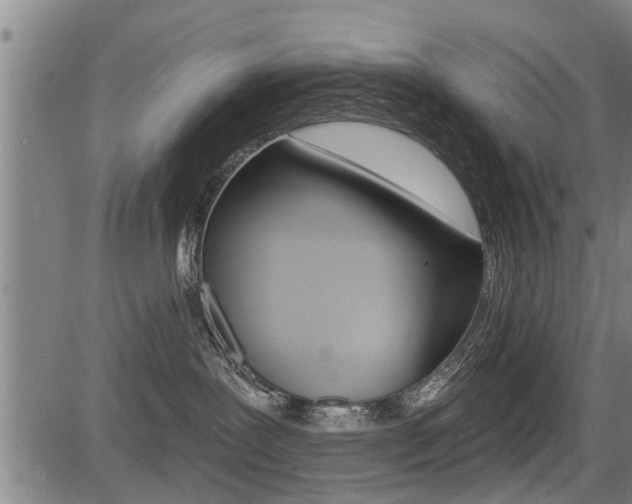 X0000083550239200702090757