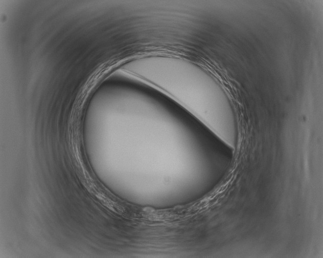 X0000083550241200702090757