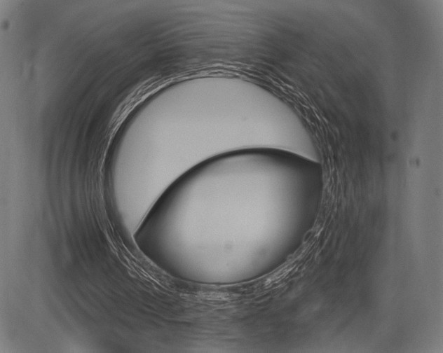 X0000083550242200702090757