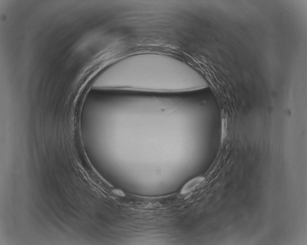 X0000083550243200702090757