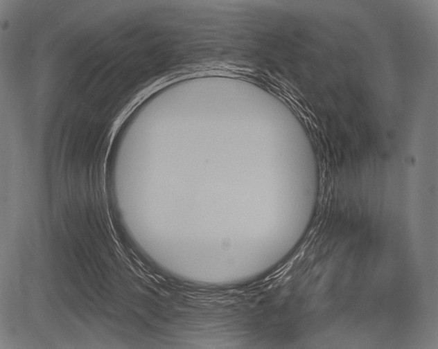 X0000083550244200702090757