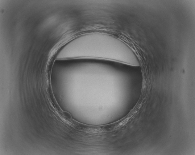 X0000083550245200702090757