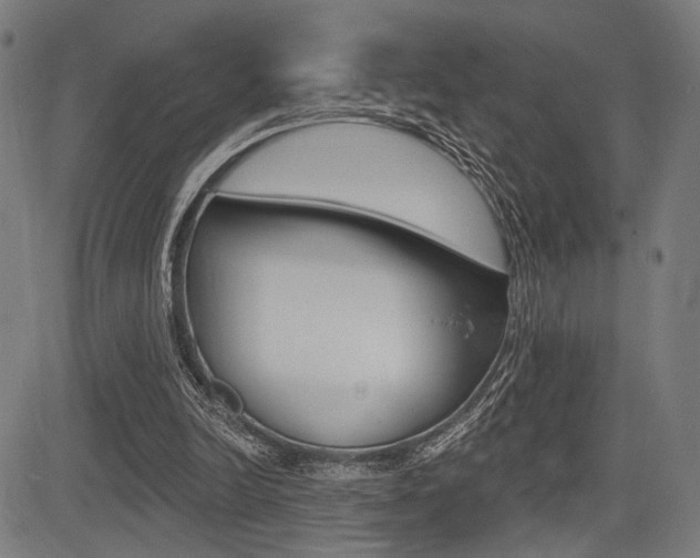 X0000083550246200702090757