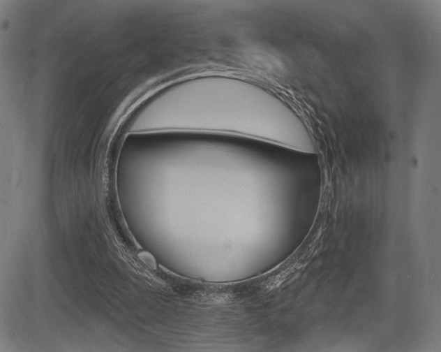 X0000083550247200702090757