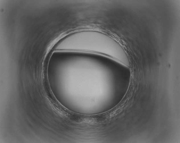 X0000083550248200702090757