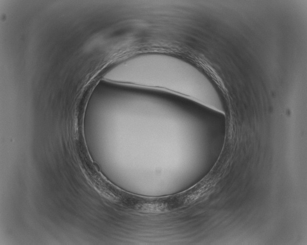 X0000083550251200702090757