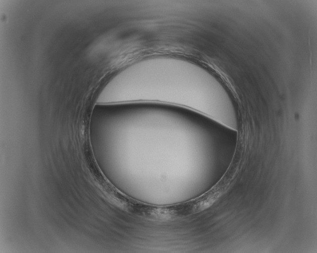 X0000083550261200702090757