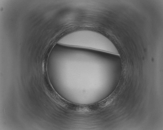 X0000083550262200702090757