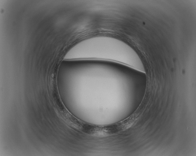 X0000083550263200702090757