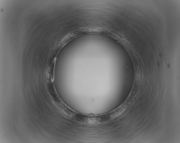 X0000083550264200702090757