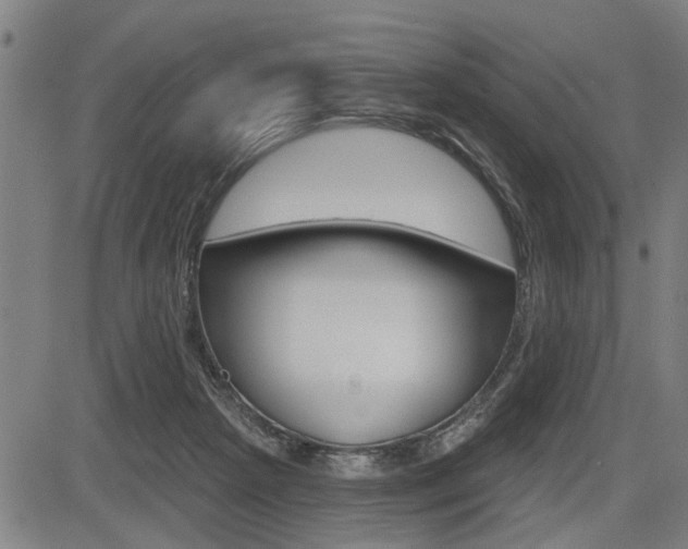 X0000083550265200702090757