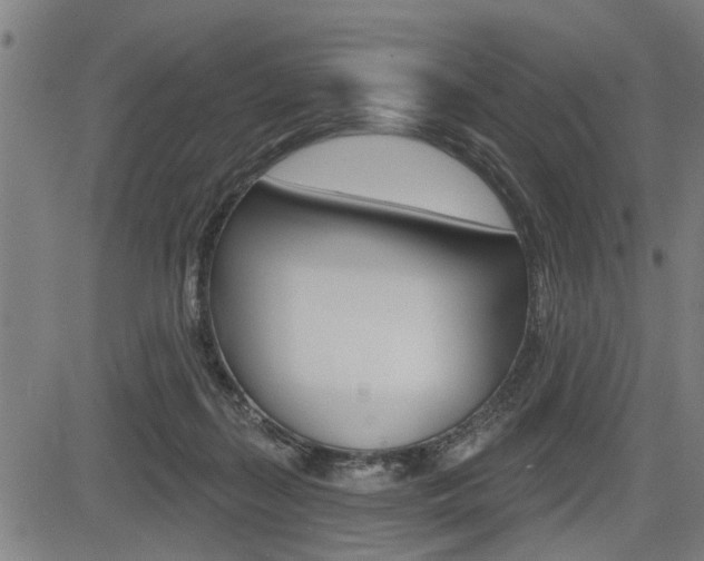 X0000083550267200702090757