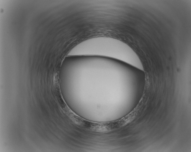 X0000083550276200702090757