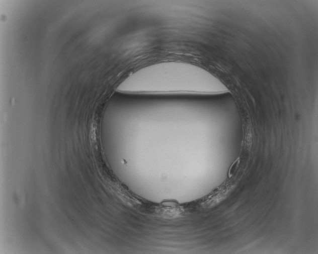 X0000083550282200702090757