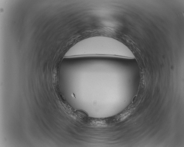 X0000083550283200702090757