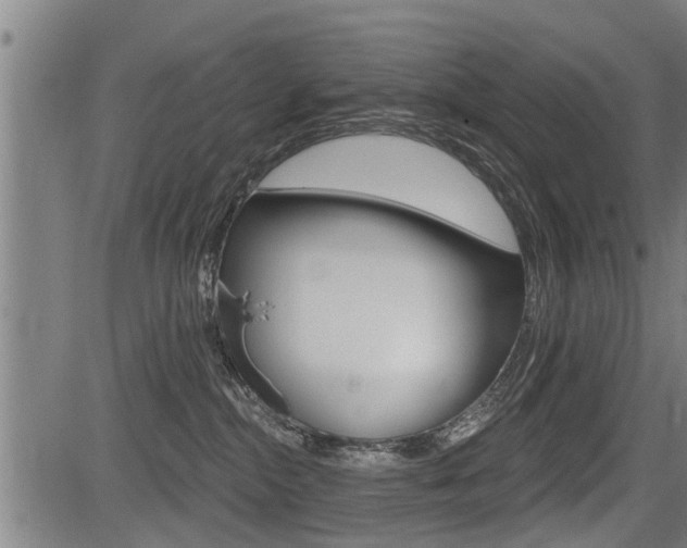 X0000083550284200702090757