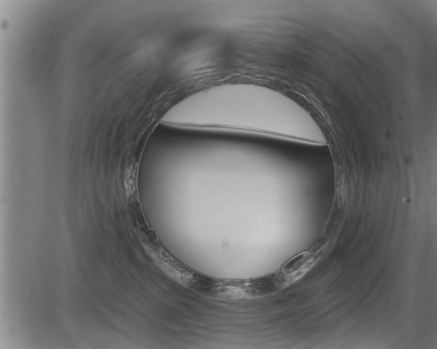 X0000083550285200702090757