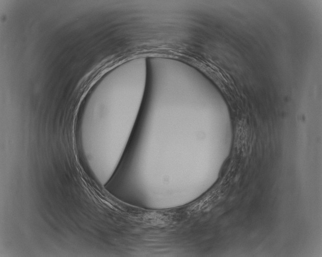X0000083550290200702090757