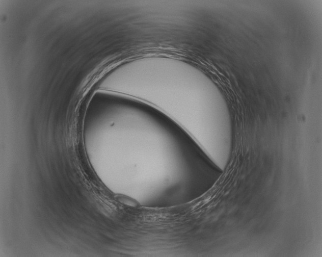 X0000083550291200702090757