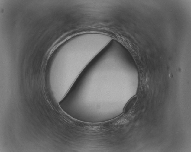 X0000083550295200702090756