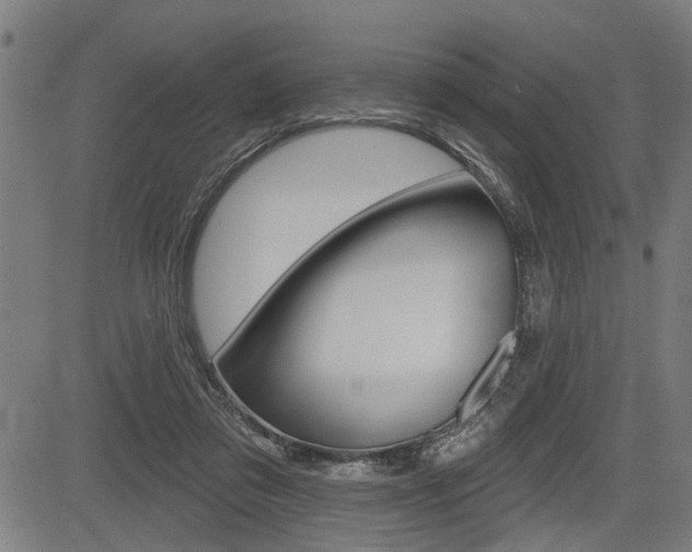 X0000083550309200702090756