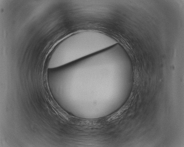 X0000083550338200702090755