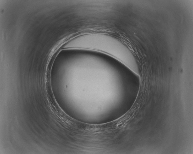 X0000083550340200702090755