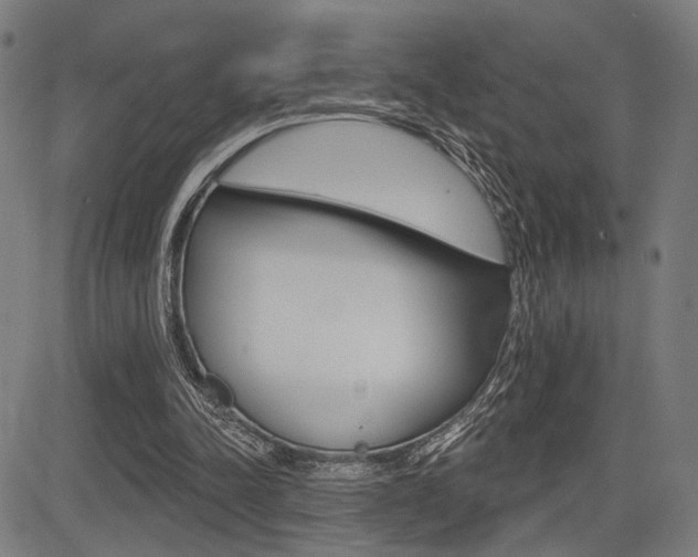 X0000083550342200702090755