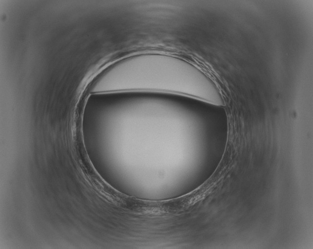 X0000083550344200702090755