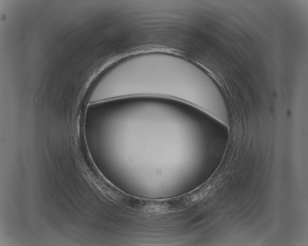 X0000083550350200702090755