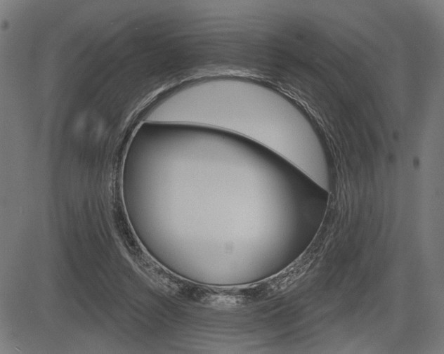 X0000083550352200702090755