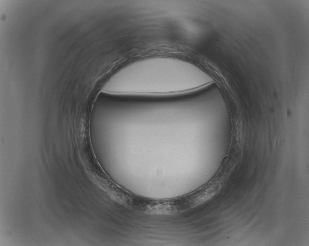 X0000083550362200702090755