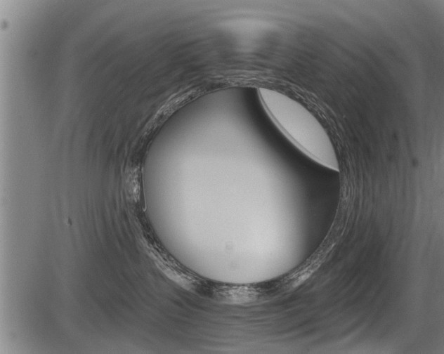 X0000083550383200702090756