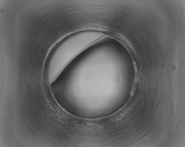 X0000083550388200702090755