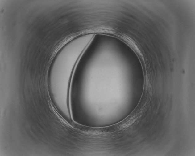 X0000083550389200702090755