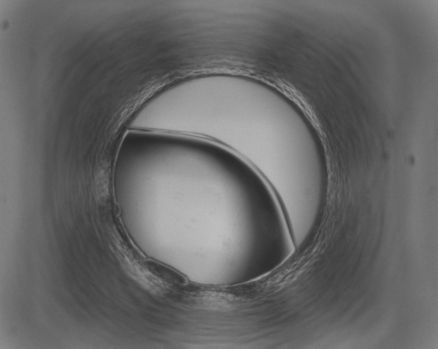 X0000083550393200702090755