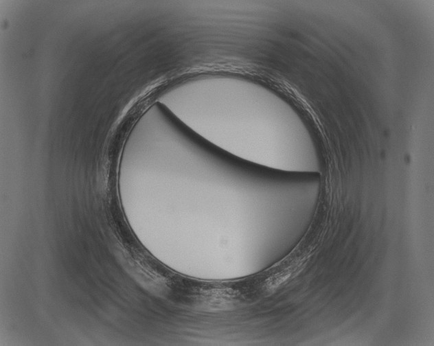 X0000083550396200702090755