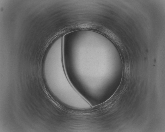 X0000083550397200702090755