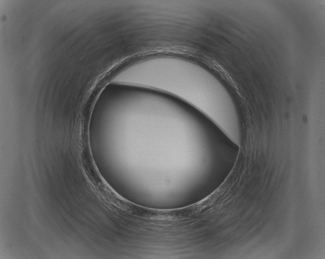 X0000083550444200702090754