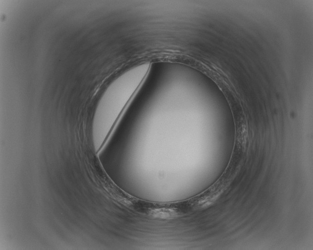 X0000083550508200702090753