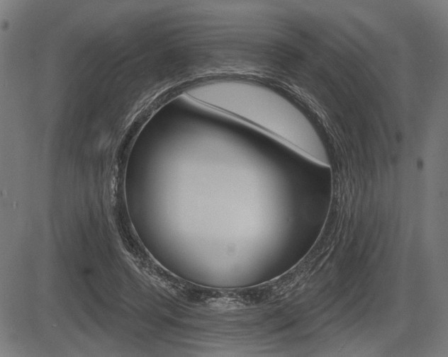 X0000083550544200702090752