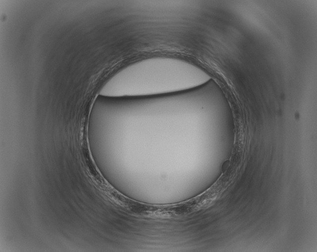 X0000083550545200702090752