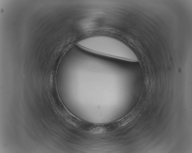 X0000083550551200702090752